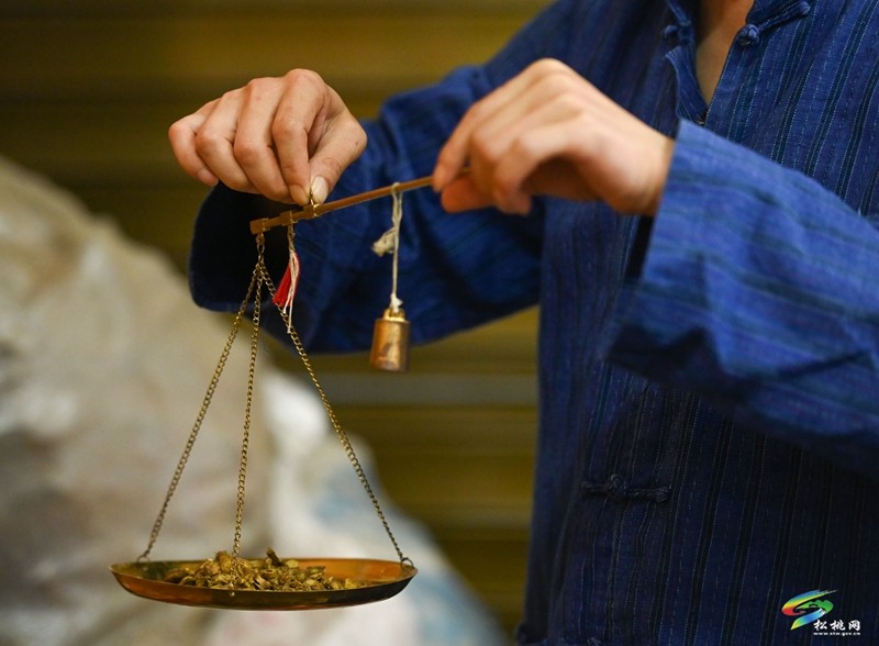 ?松桃苗醫(yī)龍曉金：治病救人?發(fā)揚苗醫(yī)苗藥
