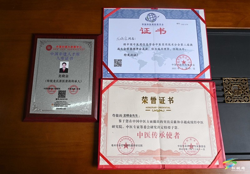 ?松桃苗醫(yī)龍曉金：治病救人?發(fā)揚苗醫(yī)苗藥