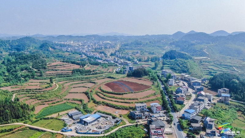 長(zhǎng)興堡鎮(zhèn)：紅薯栽種忙?育出新“薯”光