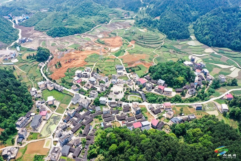 松桃坪干社區(qū)：高標準農(nóng)田促農(nóng)增收致富