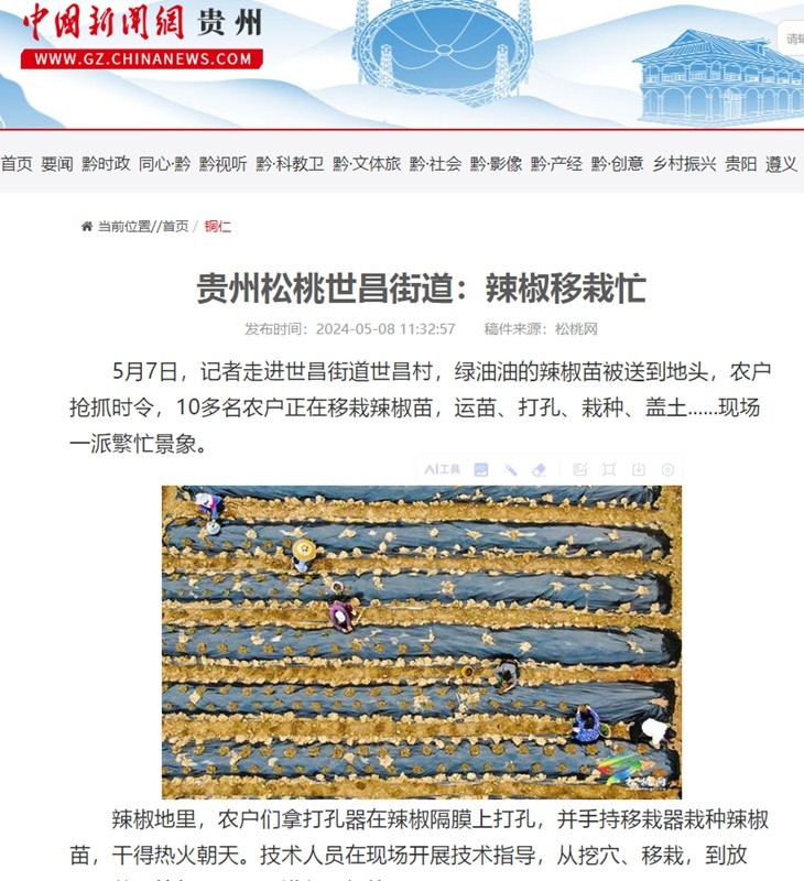 ?【成績單來了！】松桃2024年5月份對外宣傳成績單