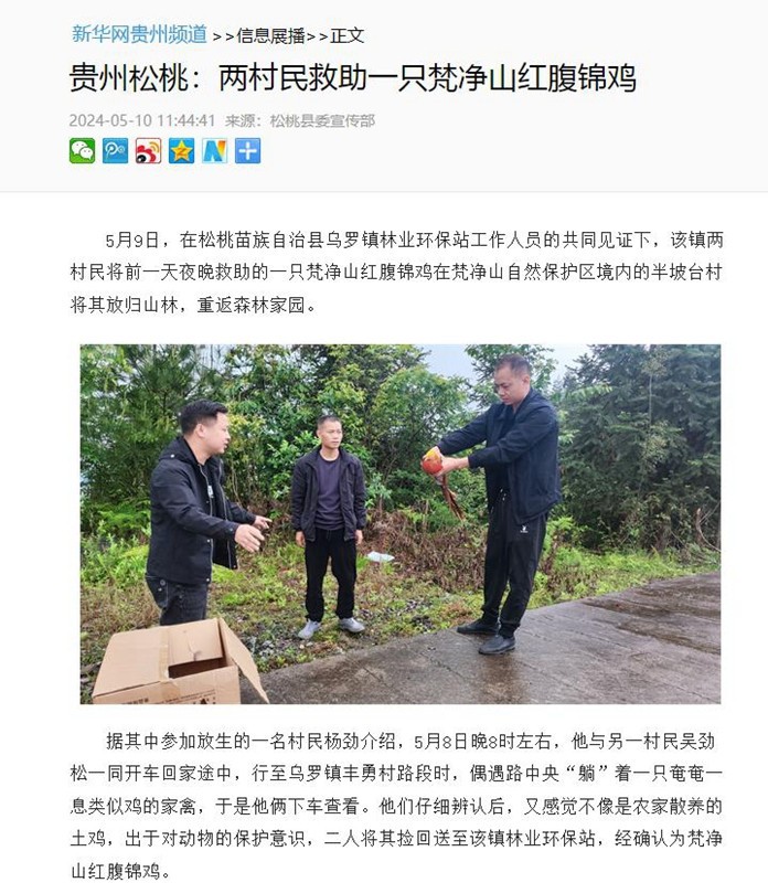 ?【成績單來了！】松桃2024年5月份對外宣傳成績單