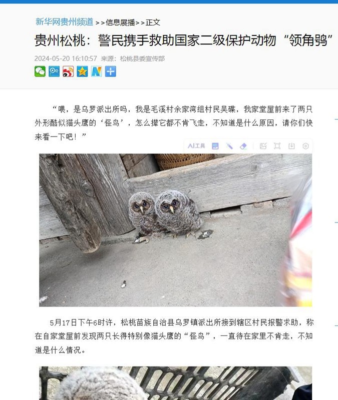 ?【成績單來了！】松桃2024年5月份對外宣傳成績單