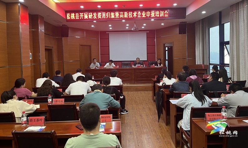 松桃開展研發(fā)費用歸集暨高新技術(shù)企業(yè)申報培訓(xùn)會