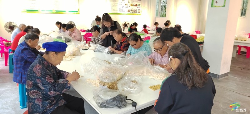團(tuán)山社區(qū)：打造宜居宜業(yè)幸福家園