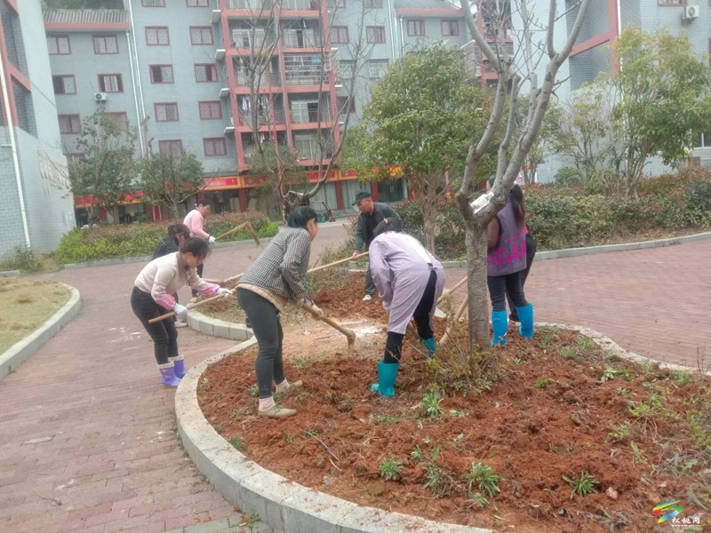 團(tuán)山社區(qū)：打造宜居宜業(yè)幸福家園