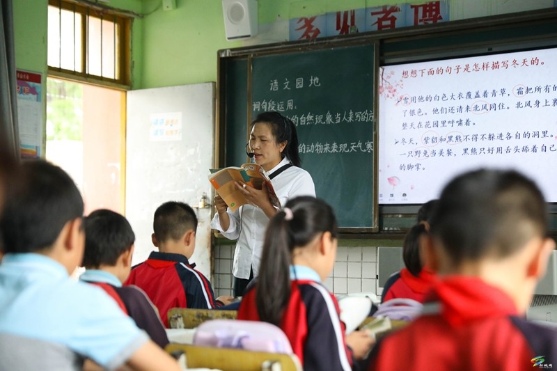 沈素麗：因為熱愛  所以選擇