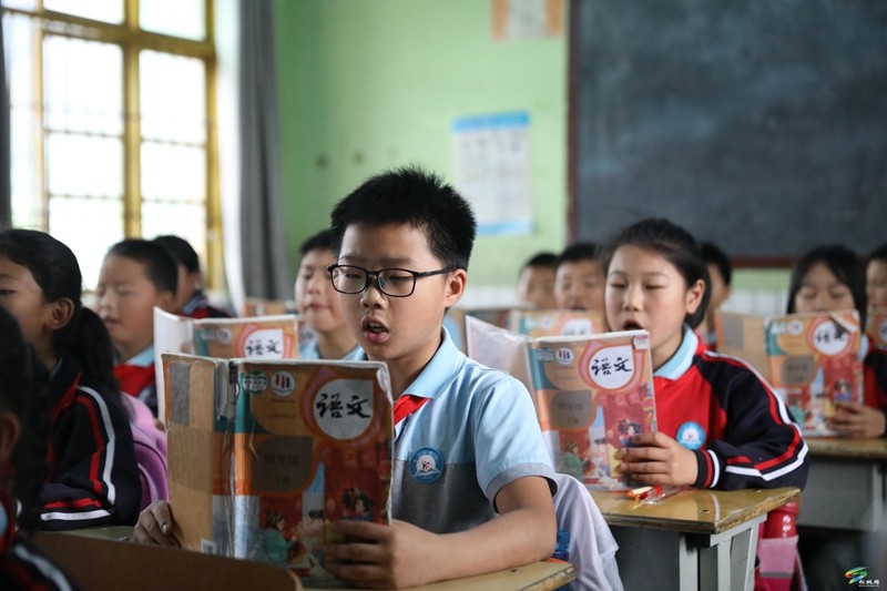 沈素麗：因為熱愛  所以選擇
