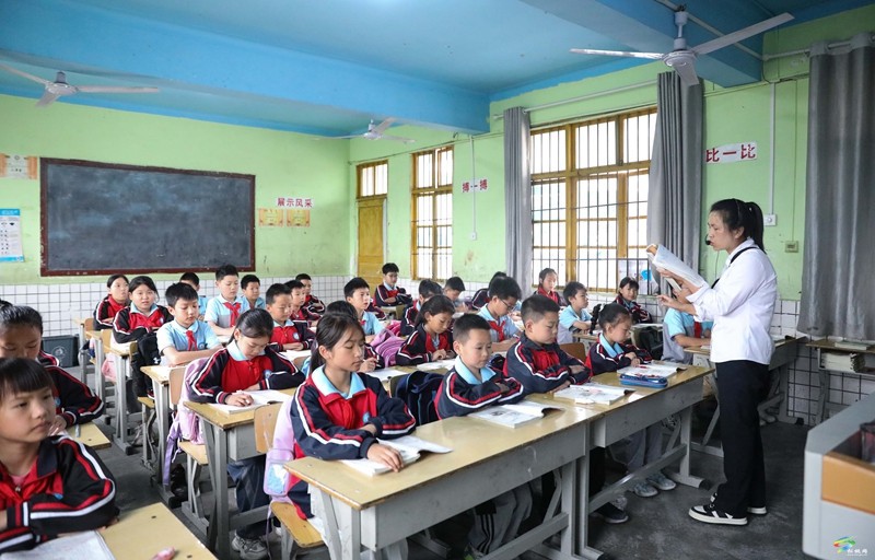 沈素麗：因為熱愛  所以選擇