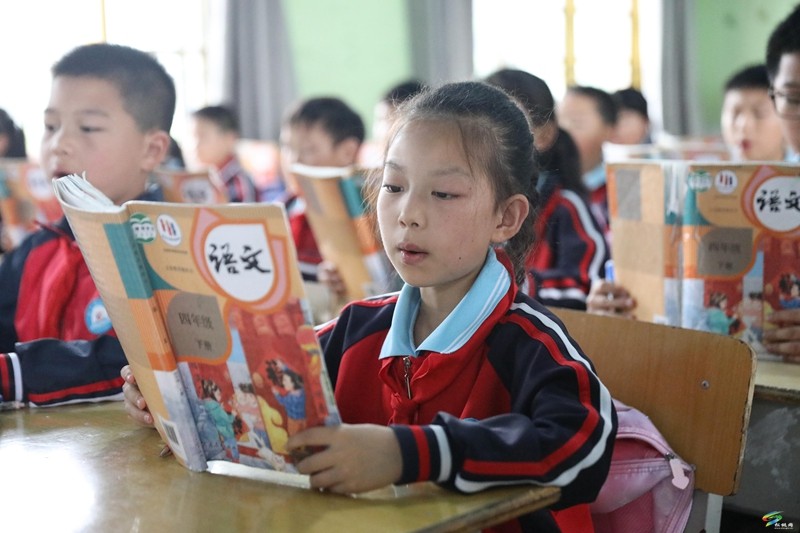 沈素麗：因為熱愛  所以選擇