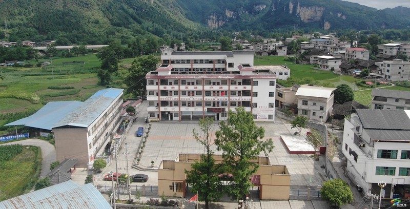 沈素麗：因為熱愛  所以選擇