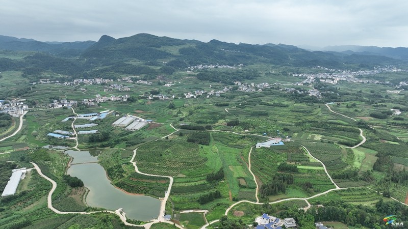 迓駕鎮(zhèn)青山村：借鑒“千萬工程”經(jīng)驗(yàn)  解鎖鄉(xiāng)村振興“密碼”