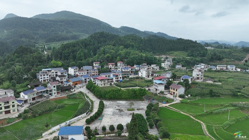 迓駕鎮(zhèn)青山村：借鑒“千萬工程”經(jīng)驗(yàn)  解鎖鄉(xiāng)村振興“密碼”