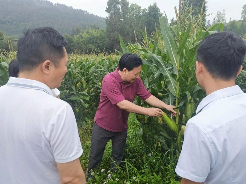 穆嶸坤到碧江區(qū)、松桃苗族自治縣檢查防汛并調(diào)研鄉(xiāng)村振興工作
