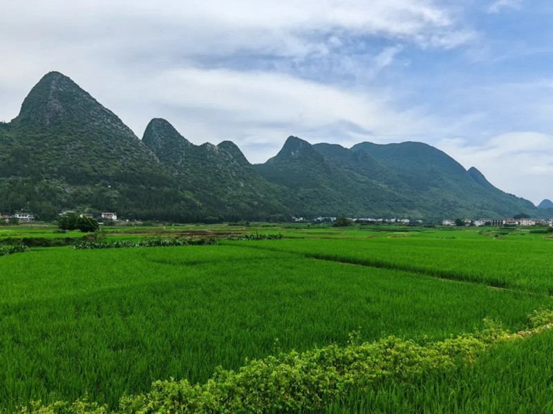 盡顯夏日“清涼”魅力 萬峰林多業(yè)態(tài)激活避暑經濟