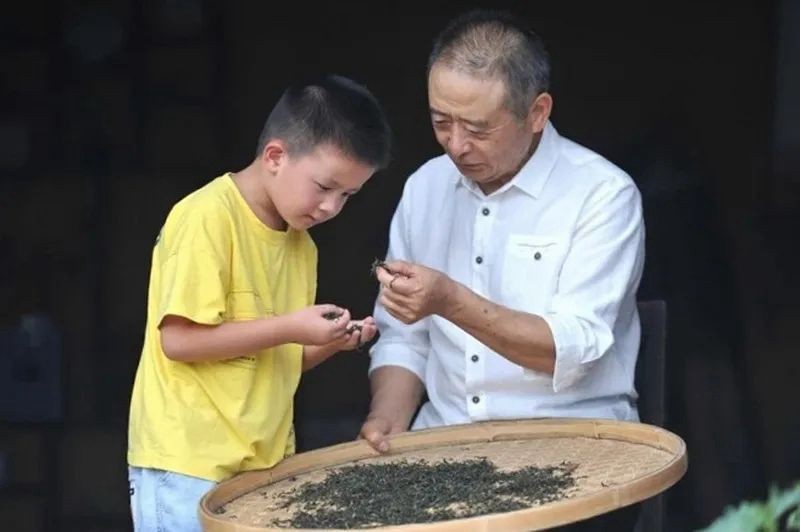 走進(jìn)銅仁,探尋一片葉子的故事