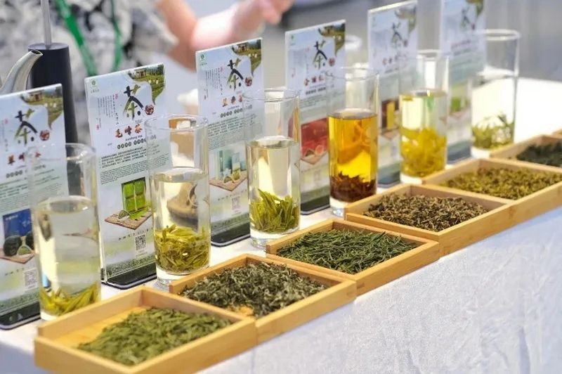 走進(jìn)銅仁,探尋一片葉子的故事