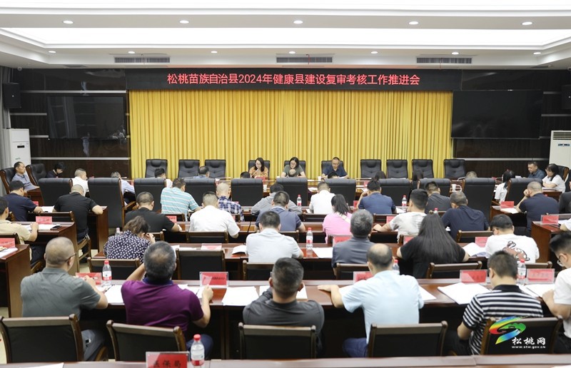 我縣2024年健康縣建設復審考核工作推進會召開