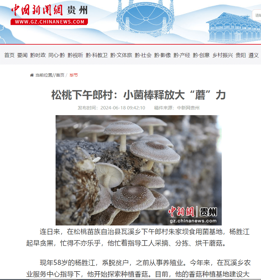 【成績單來了！】松桃2024年6月份對外宣傳成績單