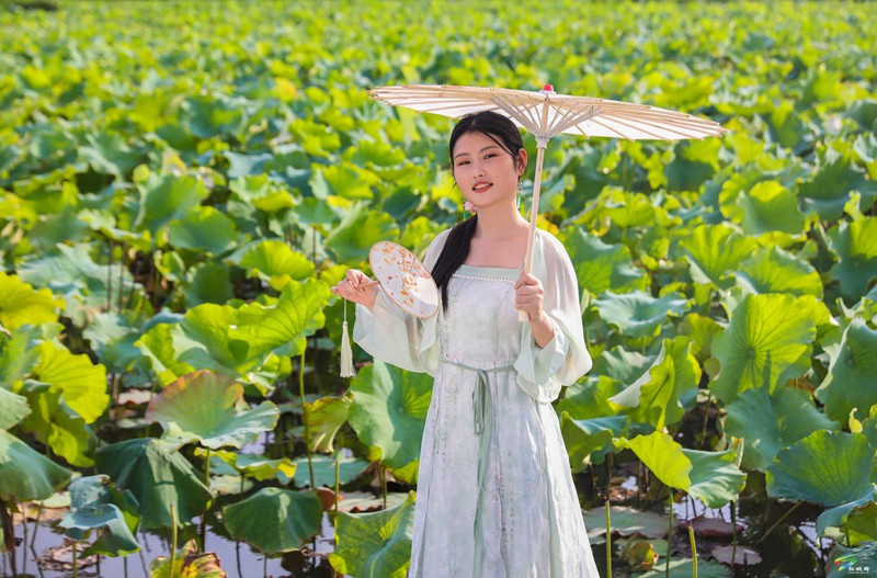 長(zhǎng)興堡鎮(zhèn)：“荷”你有約  賞荷正當(dāng)
