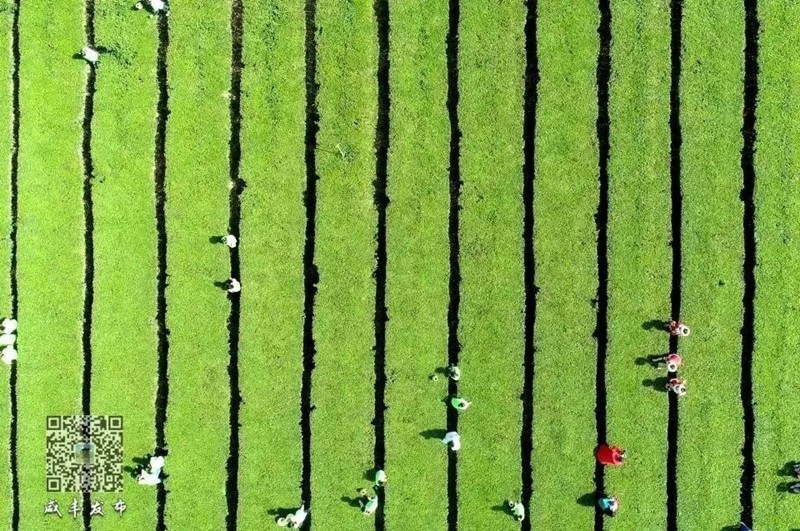 山水同源、武陵同夢(mèng)！2024武陵文旅大會(huì)何以咸豐