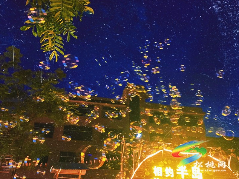 就在城邊邊！快來半島營地暢玩一“夏”