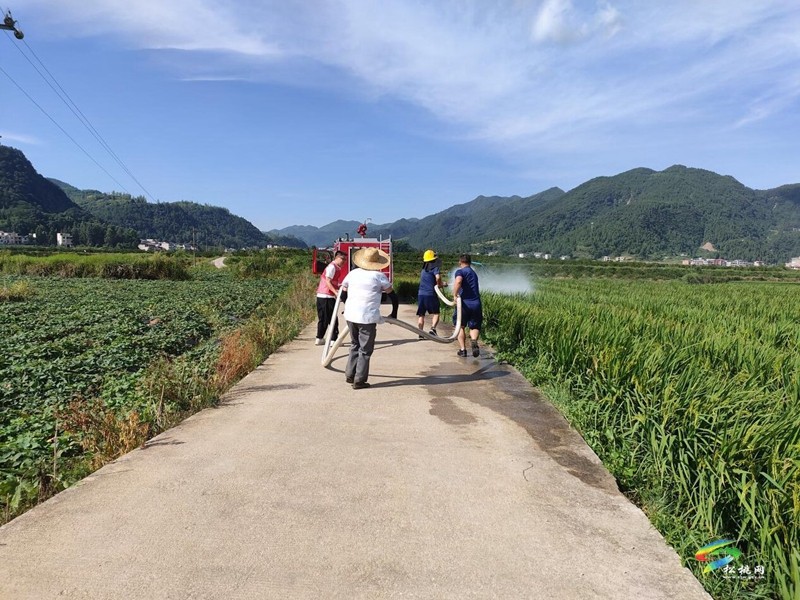 解民憂、潤民心——普覺鎮(zhèn)專職消防隊(duì)為水稻基地送去“及時(shí)雨”