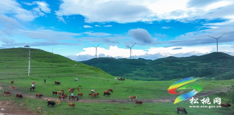 這樣的避暑圣地，你還不來嗎？