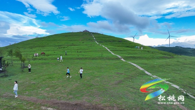 這樣的避暑圣地，你還不來嗎？