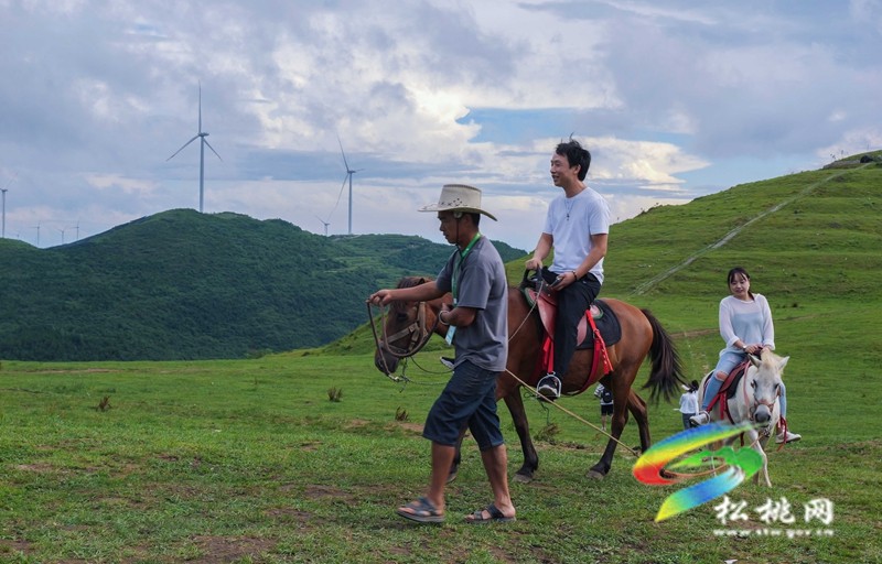 這樣的避暑圣地，你還不來嗎？