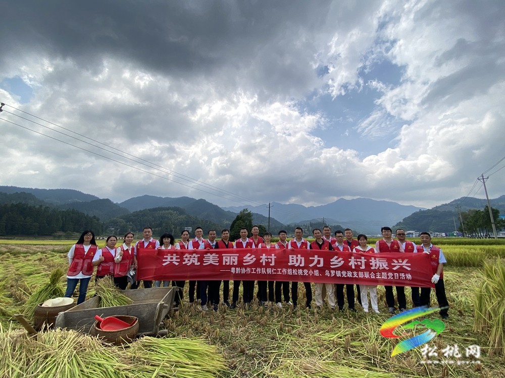 【粵黔協(xié)作·莞愛銅行】稻谷飄香收割忙?志愿服務助秋收 ｜粵黔協(xié)作工作隊銅仁工作組松桃小組、烏羅鎮(zhèn)黨政支部 聯(lián)合開展主題黨日活動