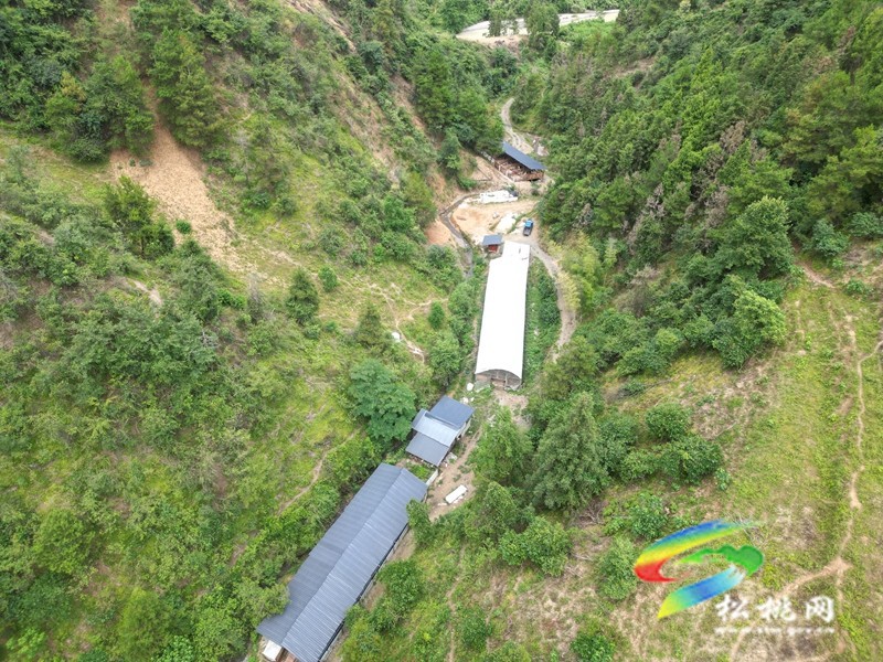 牛郎鎮(zhèn)：山羊養(yǎng)殖有“錢途” 農民致富“喜洋洋”