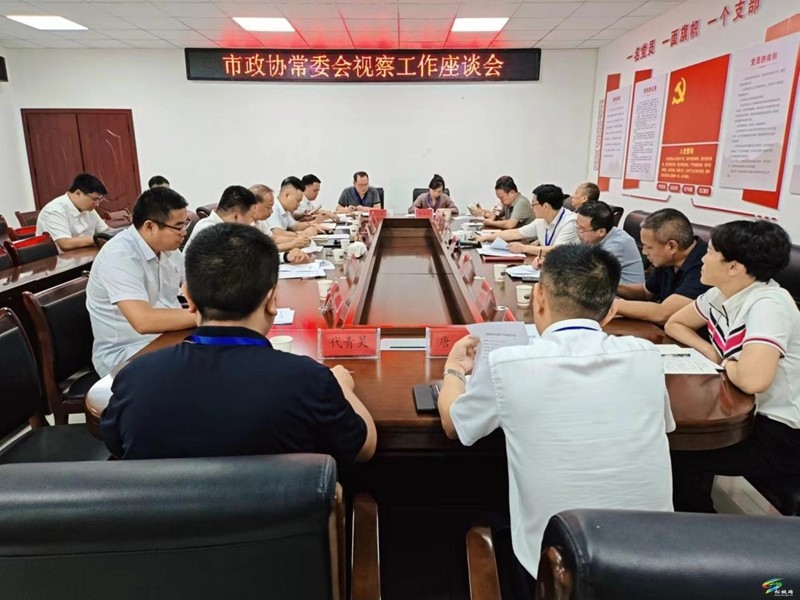 市政協(xié)常委會(huì)來(lái)松調(diào)研新型能源風(fēng)電、光伏產(chǎn)業(yè)發(fā)展工作