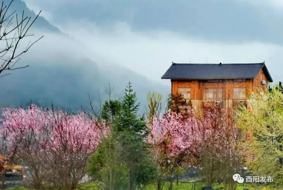 鄉(xiāng)村旅游火起來、村民腰包鼓起來、美麗鄉(xiāng)村富起來！板溪鎮(zhèn)扎營村蝶變的背后……