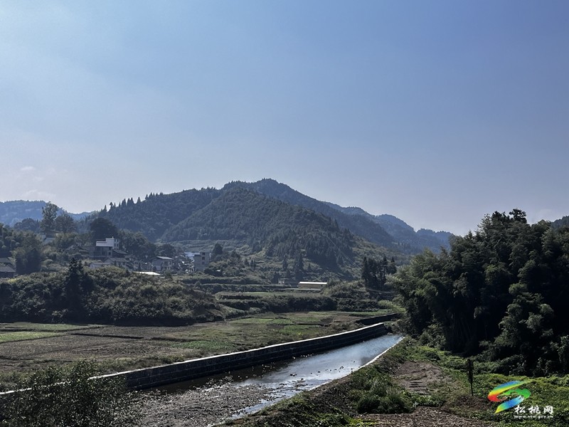 平頭鎮(zhèn)：執(zhí)五筆繪五色，描繪鄉(xiāng)村多彩畫卷