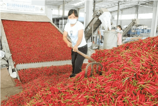 【武陵視界】紀念紅二、紅六軍團木黃會師90周年 | 印江：傳承紅色基因 推動綠色發(fā)展