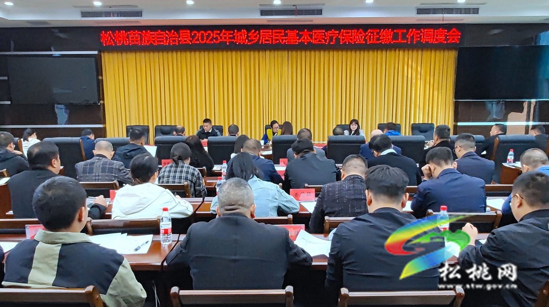 全縣2025年城鄉(xiāng)居民基本醫(yī)療保險(xiǎn)征繳工作調(diào)度會(huì)召開(kāi)