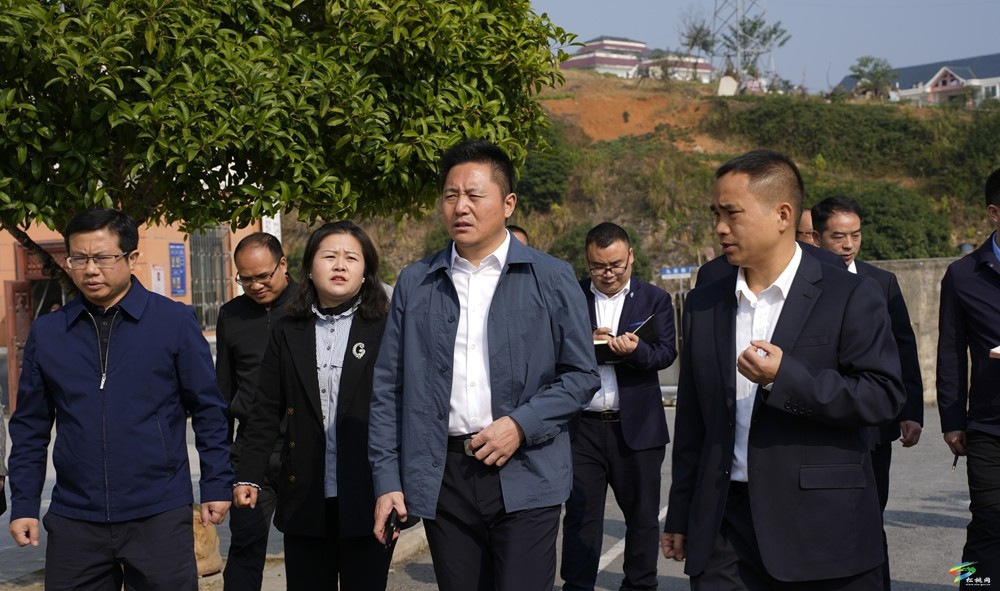 陳琪到城區(qū)中小學校調研
