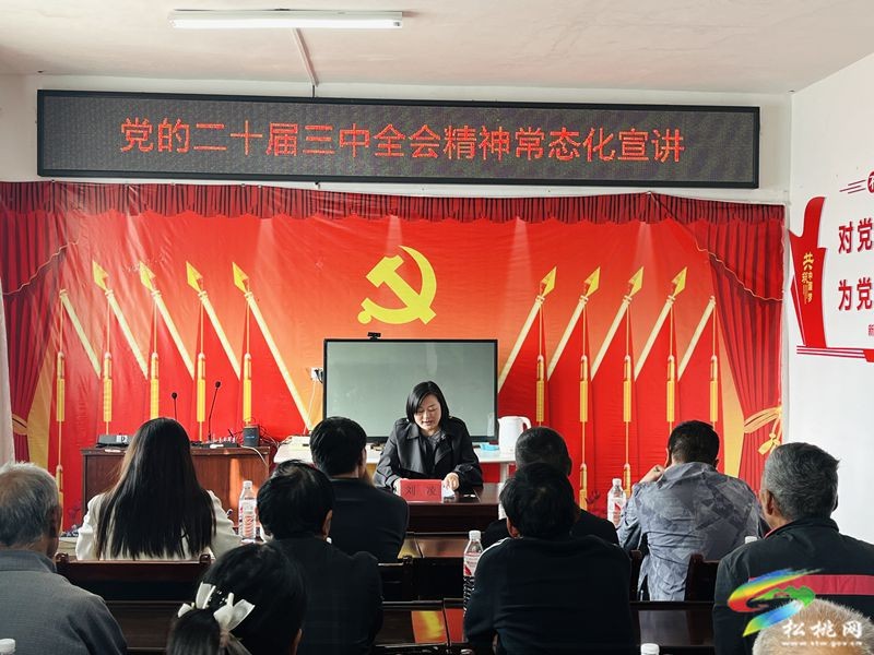 省、市宣講團(tuán)來松宣講黨的二十屆三中全會精神
