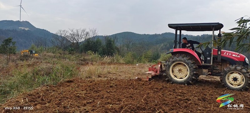 盤石鎮(zhèn)：執(zhí)耕地“筆”繪振興“圖”