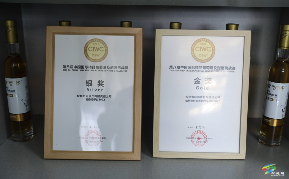 沙壩河鄉(xiāng)：“葡”寫鄉(xiāng)村振興路
