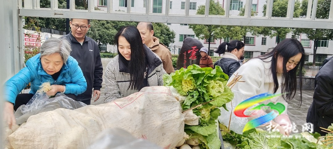 松桃岑洞壩村：定購蔬菜送溫暖?結(jié)對幫扶心連心