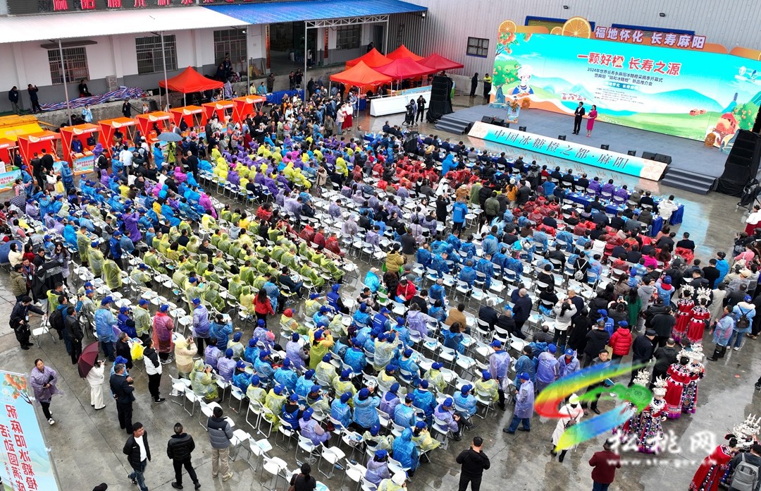 湘桂滇黔苗族自治縣第十一次苗族文化傳承與交流聯(lián)系會議在麻陽召開