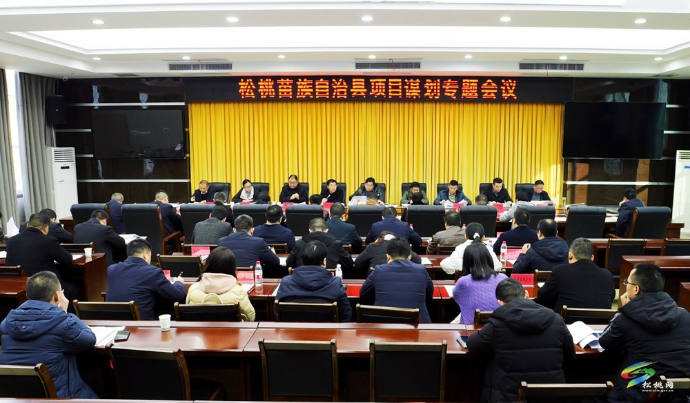 縣項(xiàng)目謀劃專題會(huì)議召開