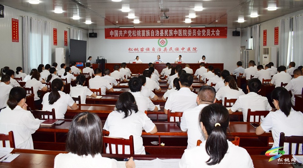 縣民族中醫(yī)院：黨建+N模式  推動高質(zhì)量發(fā)展