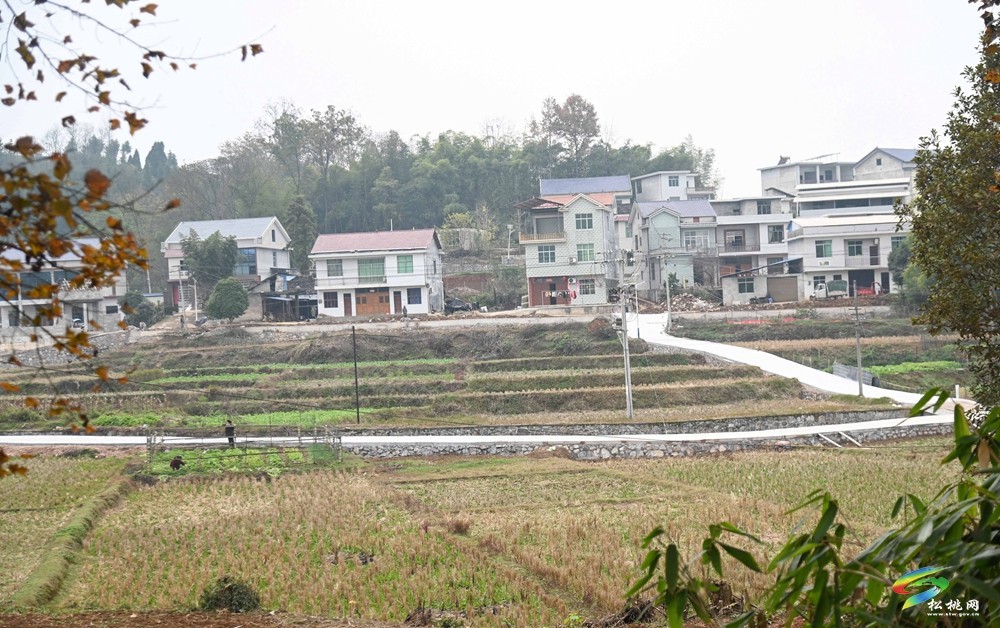 迓駕鎮(zhèn)青山村：學(xué)習(xí)運用“千萬工程”經(jīng)驗 推進(jìn)人居環(huán)境提質(zhì)改造