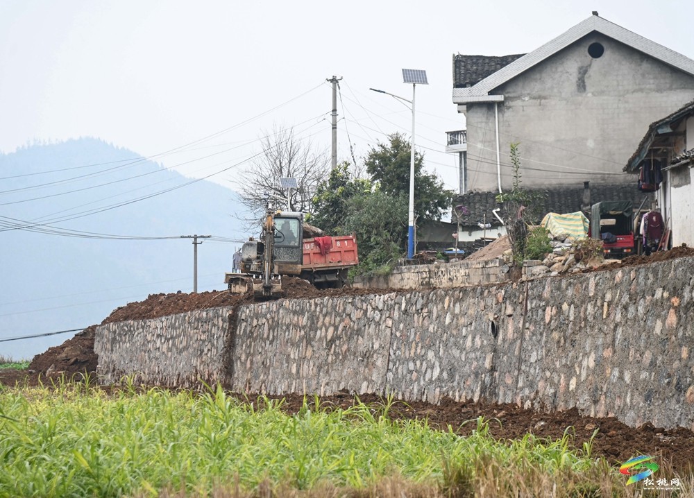 迓駕鎮(zhèn)青山村：學(xué)習(xí)運用“千萬工程”經(jīng)驗 推進(jìn)人居環(huán)境提質(zhì)改造