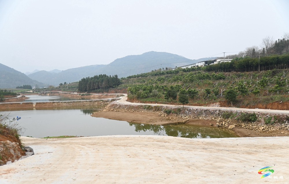 迓駕鎮(zhèn)青山村：學(xué)習(xí)運用“千萬工程”經(jīng)驗 推進(jìn)人居環(huán)境提質(zhì)改造