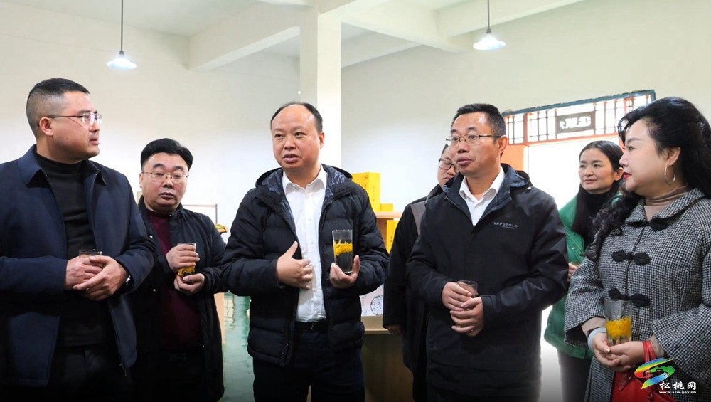 深圳市銅仁商會來松考察