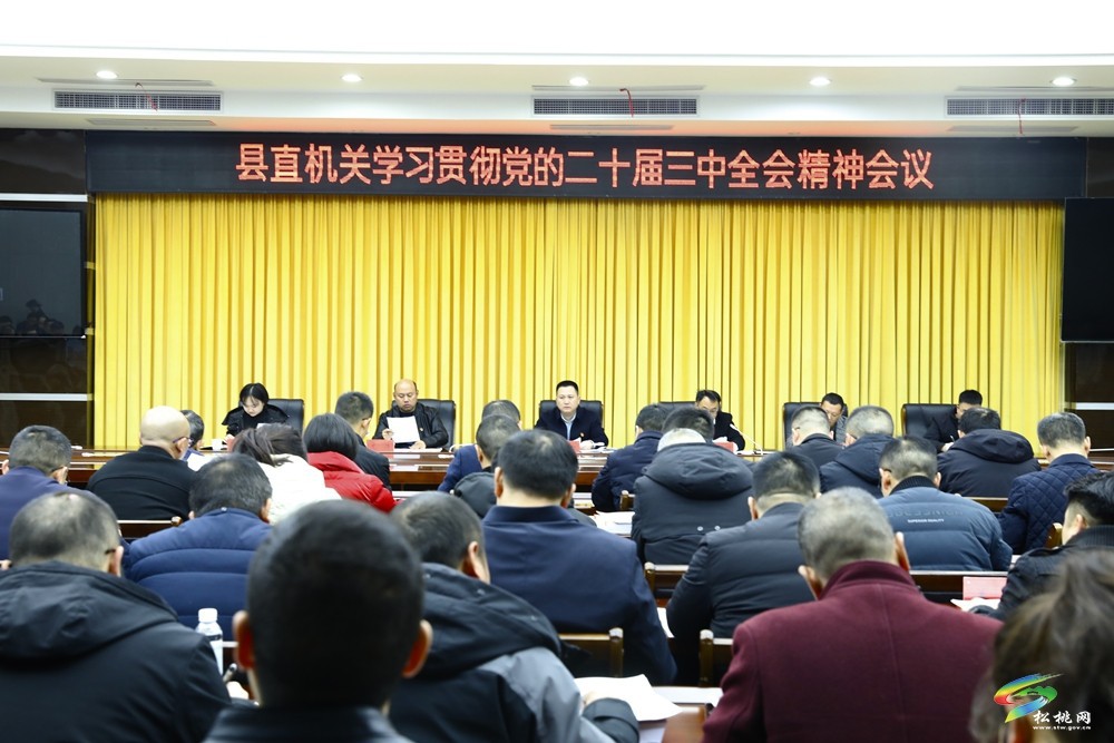 縣直機(jī)關(guān)“四強(qiáng)”黨支部授牌暨2024年新任基層黨組織書記集體談話會(huì)議召開